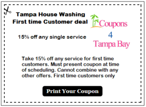 tampa house washing